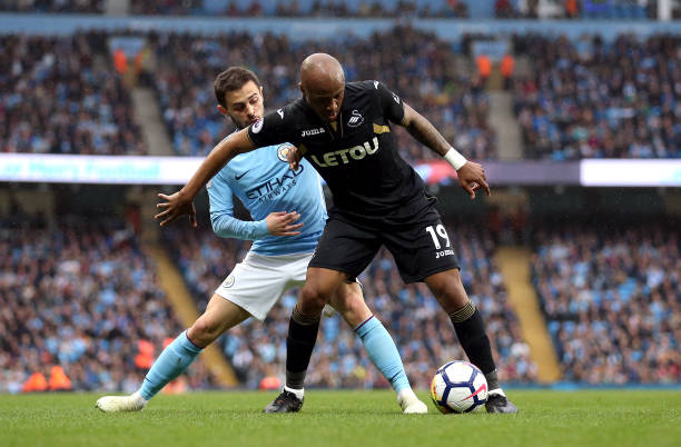 不少球迷本 不少球迷本